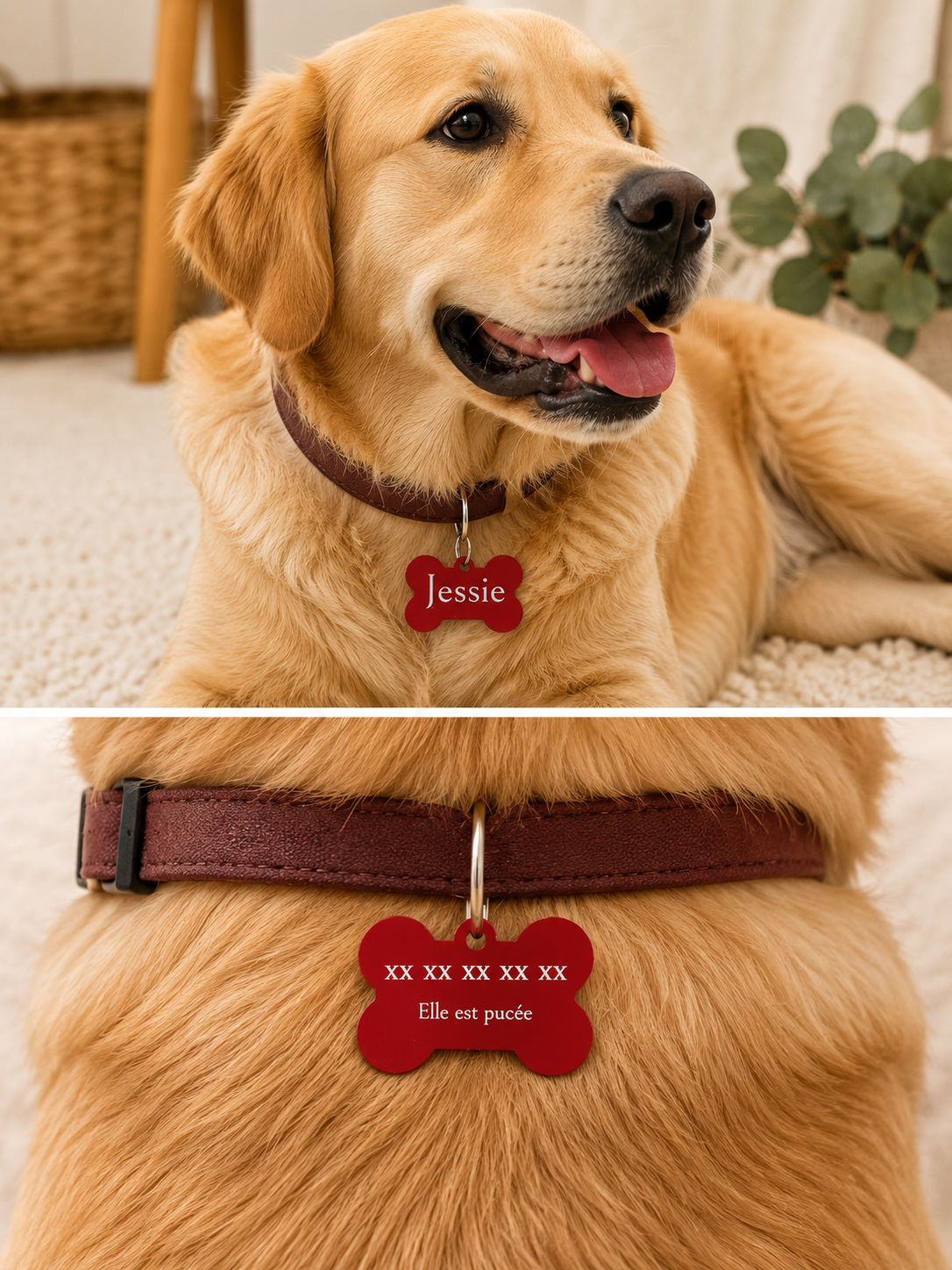 Pendentif d'immatriculation chien, chat